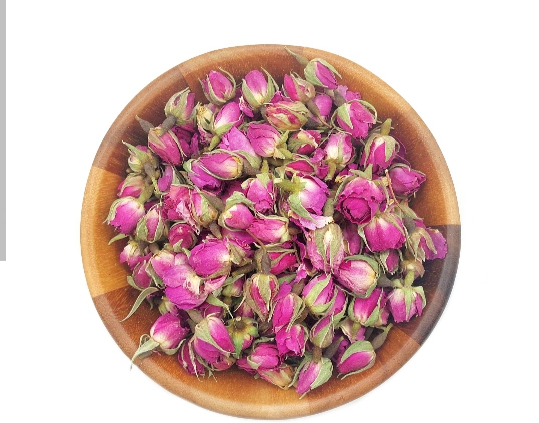 غنچه گل محمدی