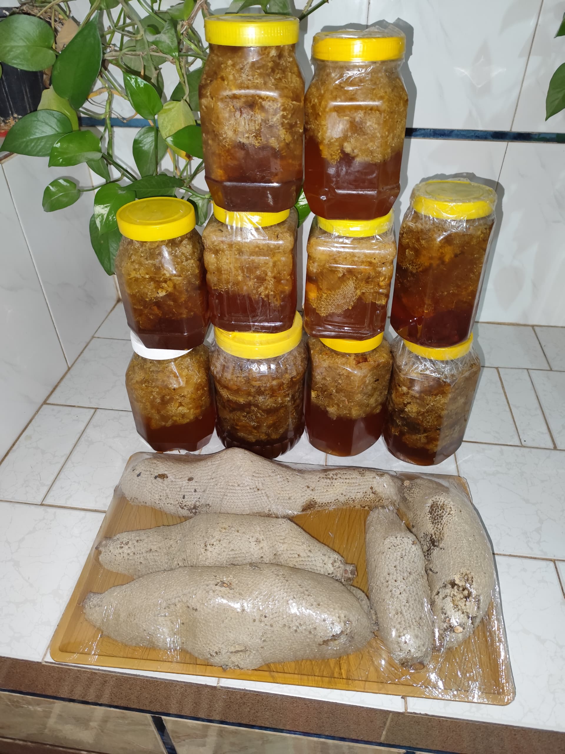 عسل وحشی