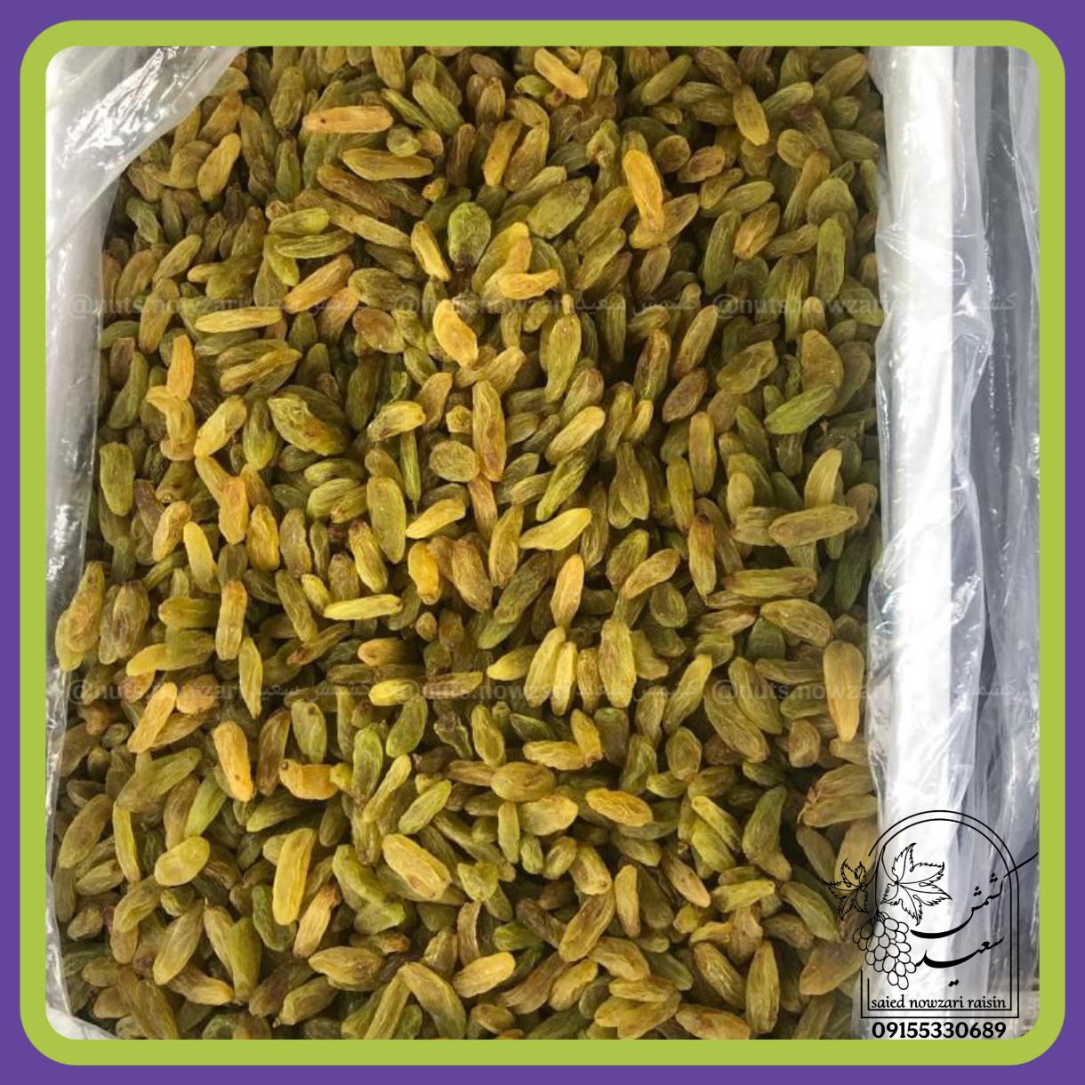 کشمش سبز قلمی