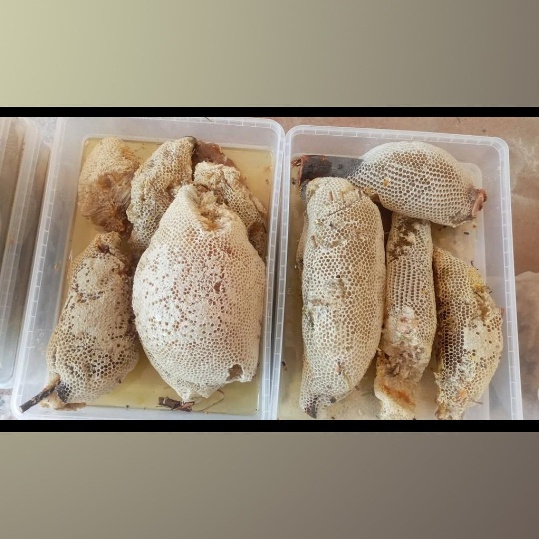 عسل درختی ..خرما ..پنیر نخل 