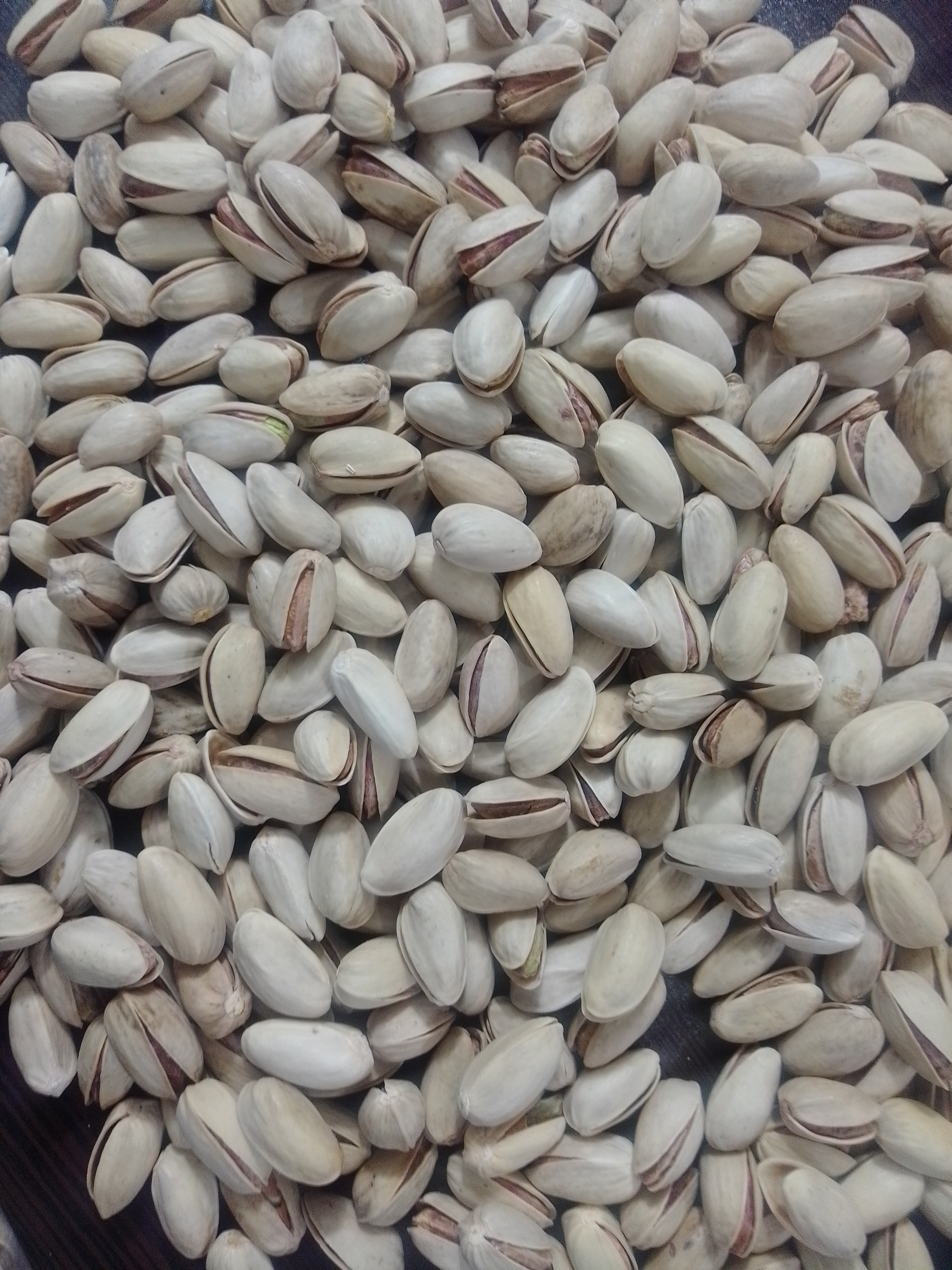 تولید و پخش پسته