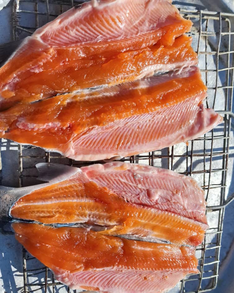 تهیه و فروش ماهی قزل‌آلا و سالمون