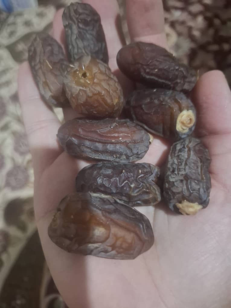 رطب و خرما نخل گیسو