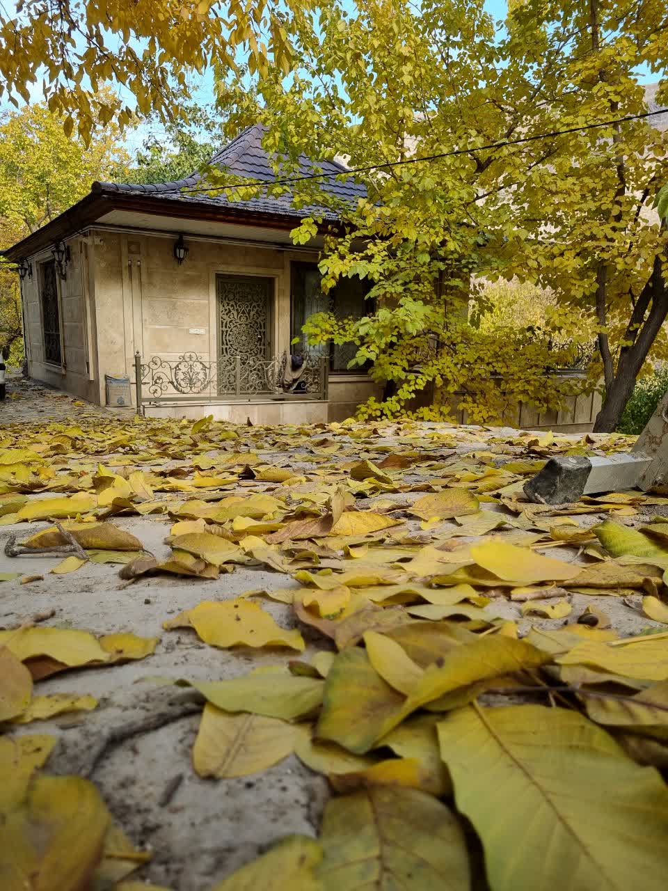املاک