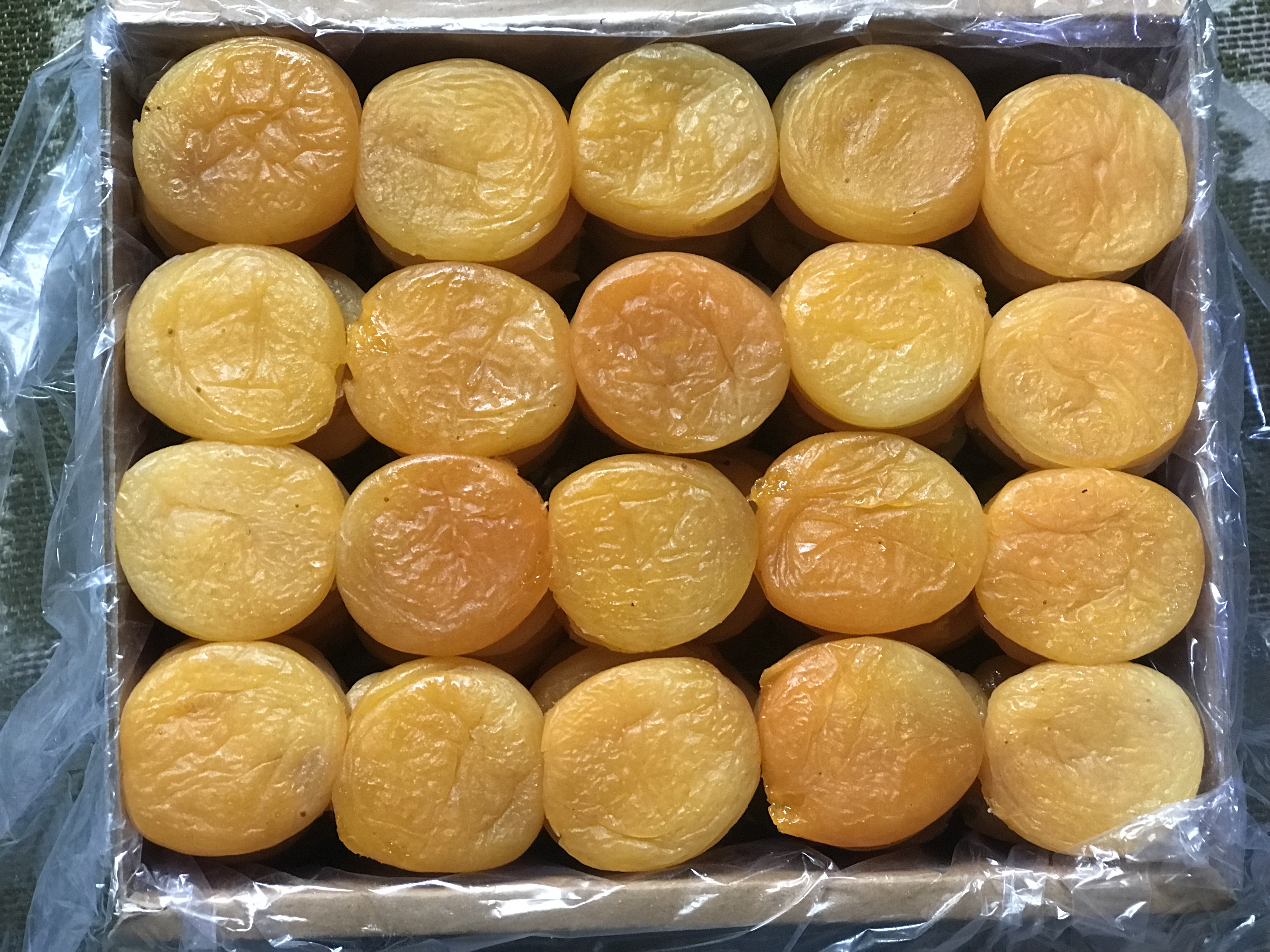 خشکبار