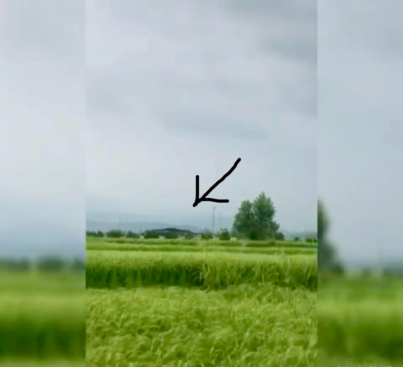 فروش مجتمع پرورش آبزیان