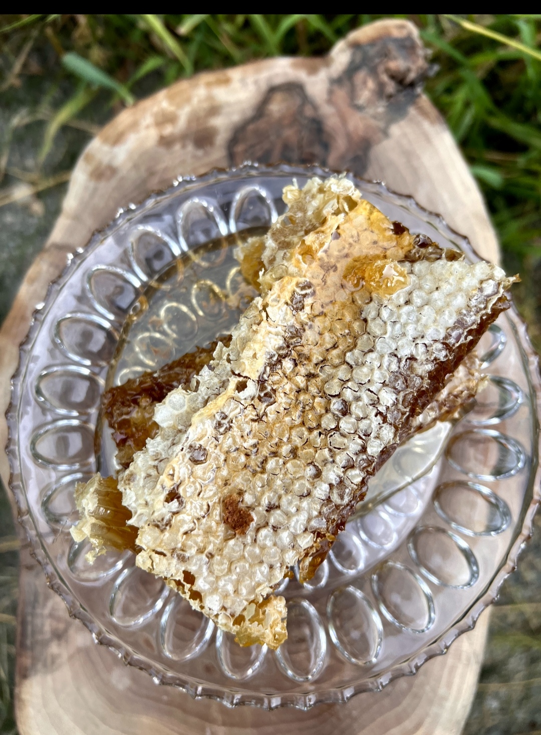 فروش عمده عسل طبیعی وخالص