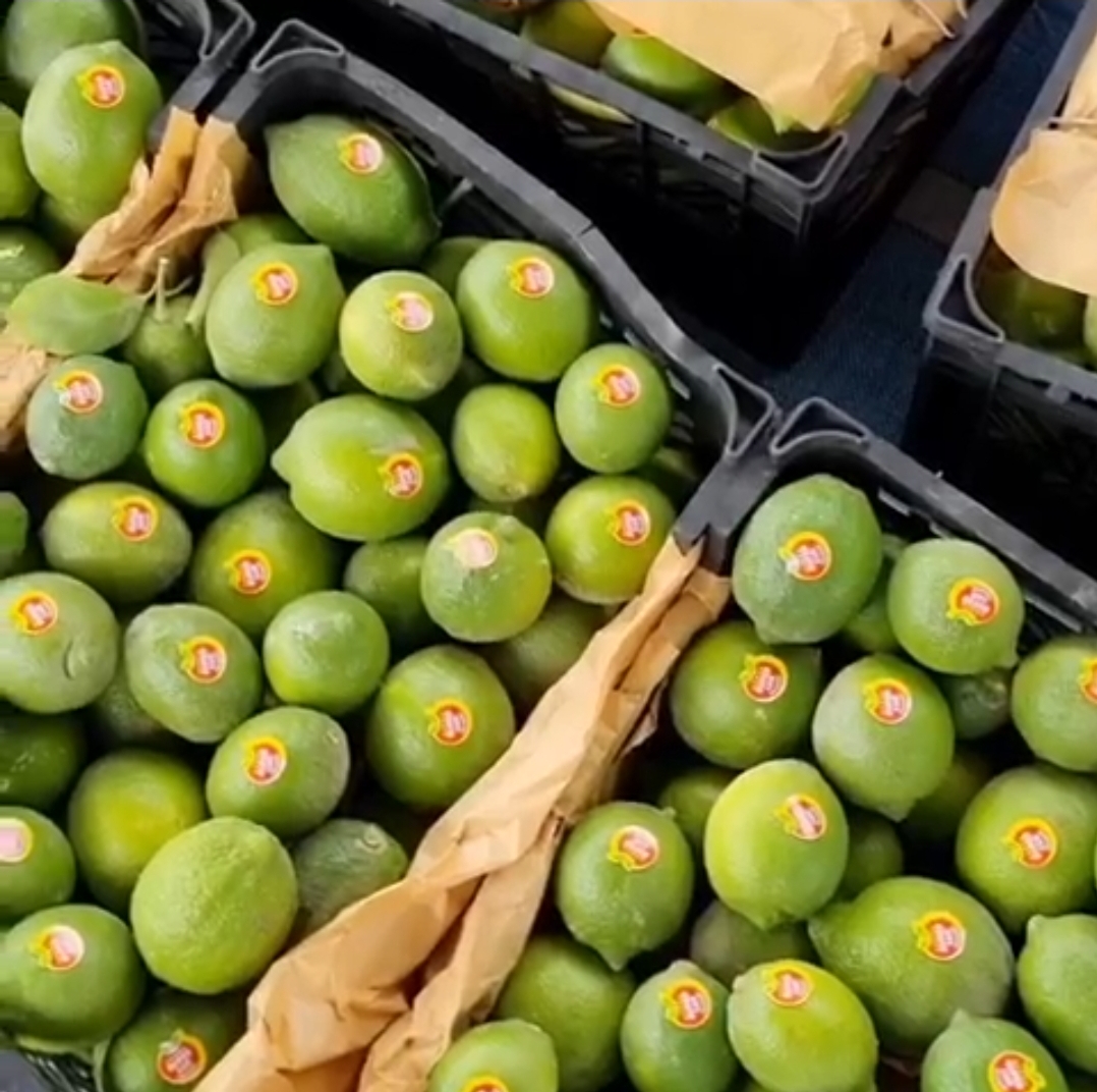 صادرات محصولات کشاورزی و باغداری