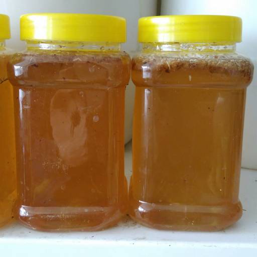 عسل طبیعی 