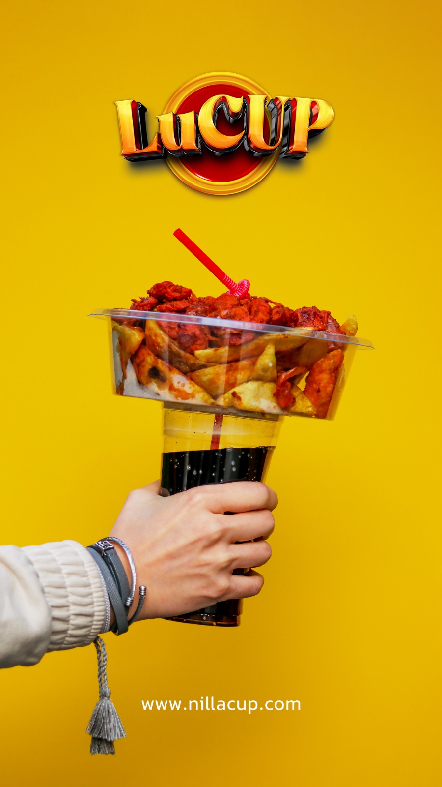 ظرف سوخاری و فست فود