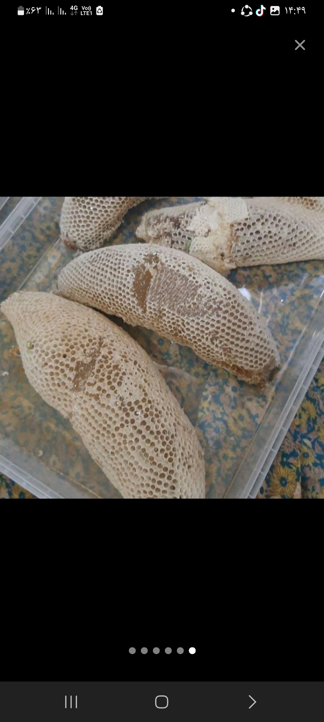 عسل درختی ..خرما ..پنیر نخل 