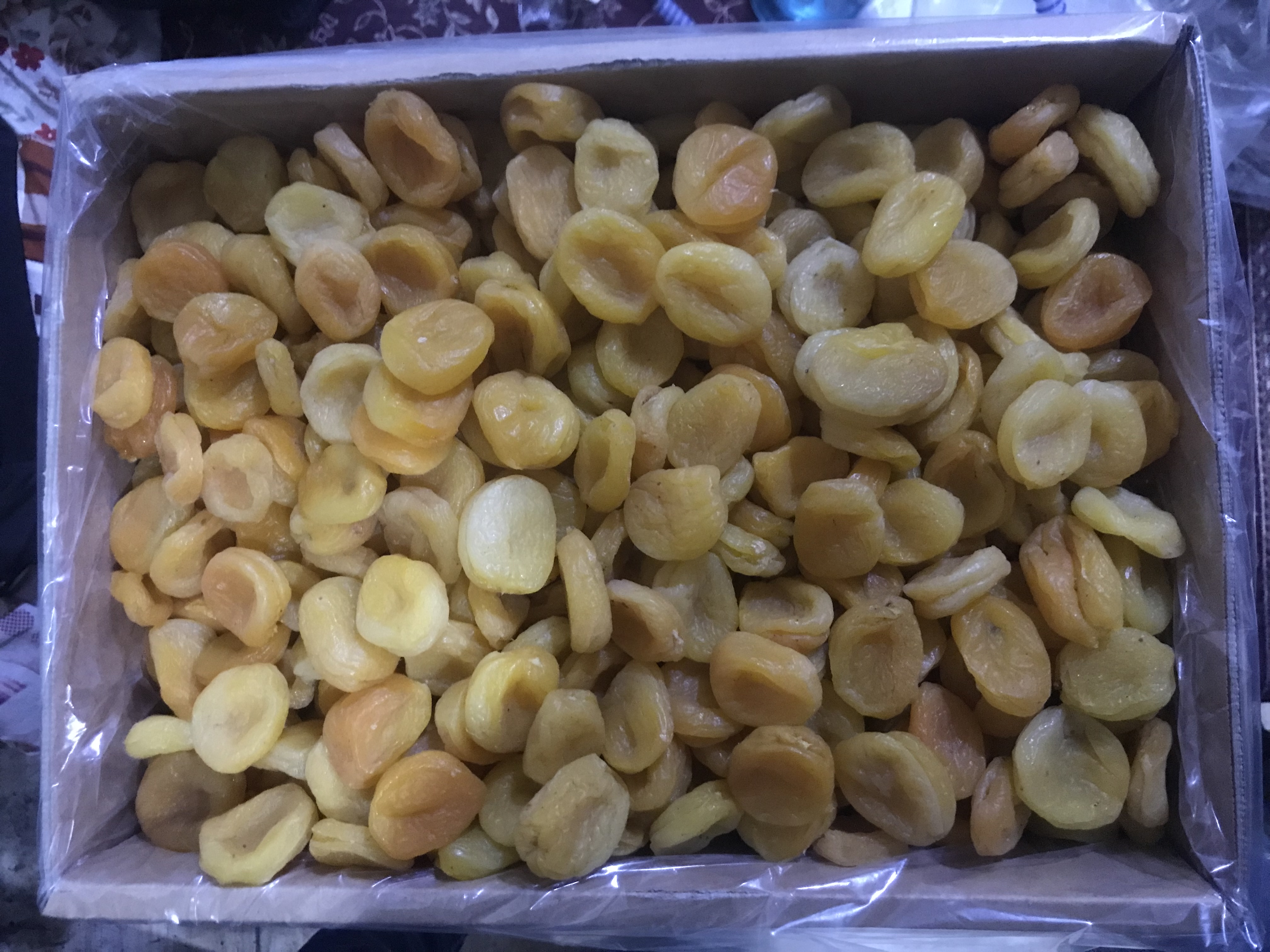 خشکبار