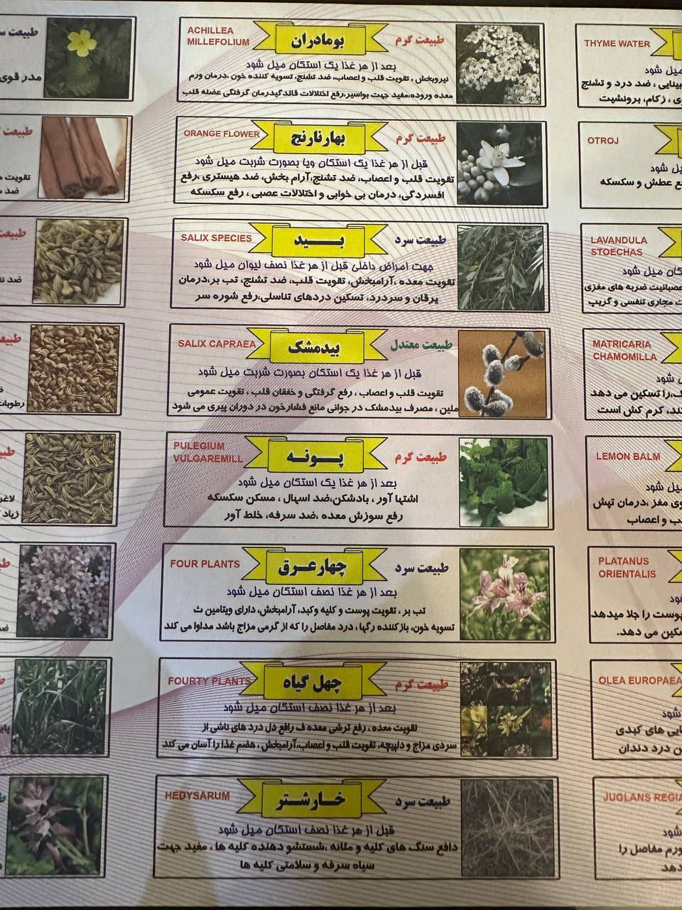 گلاب و عرقیجات 