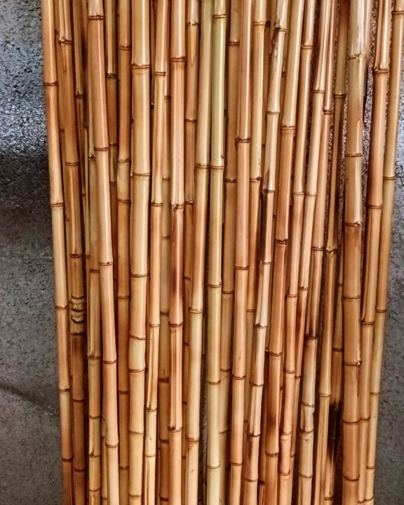 فروش چوب بامبو