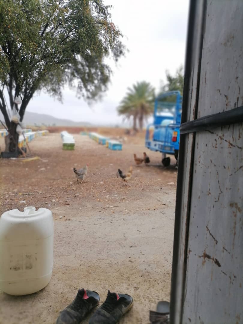 عسل کاملا طبیعی