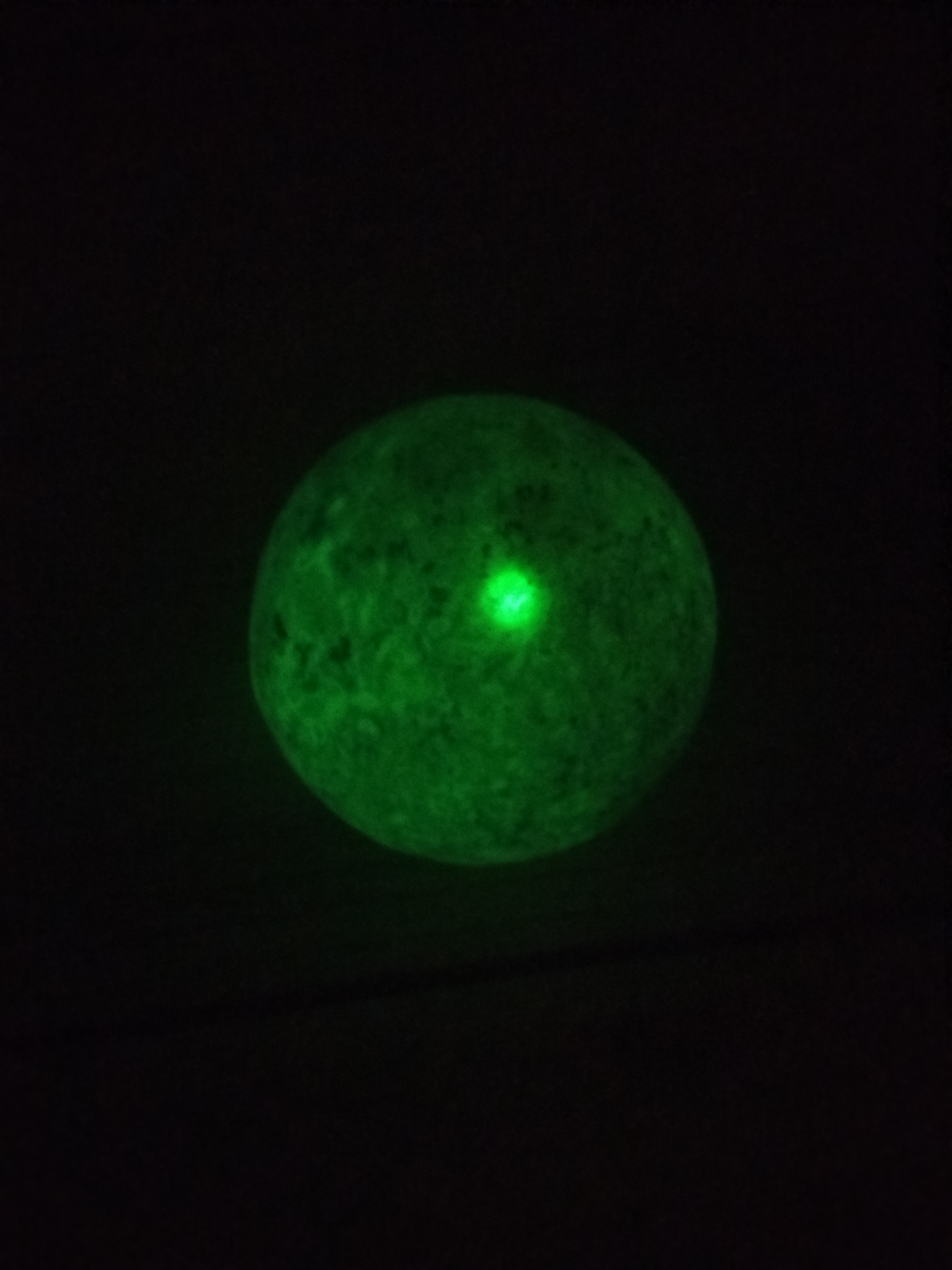 گوهر شب‌چراغ 