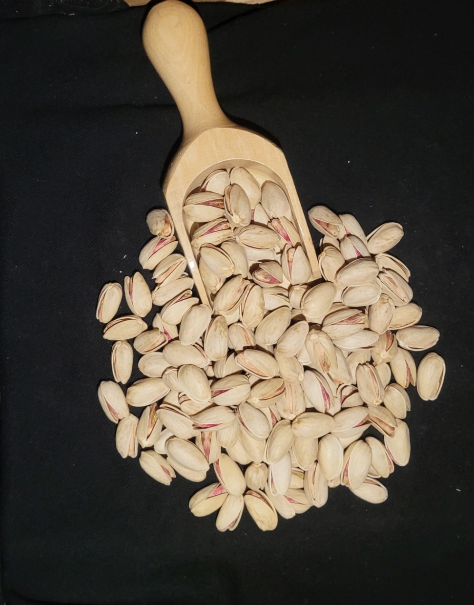 خشکبار 