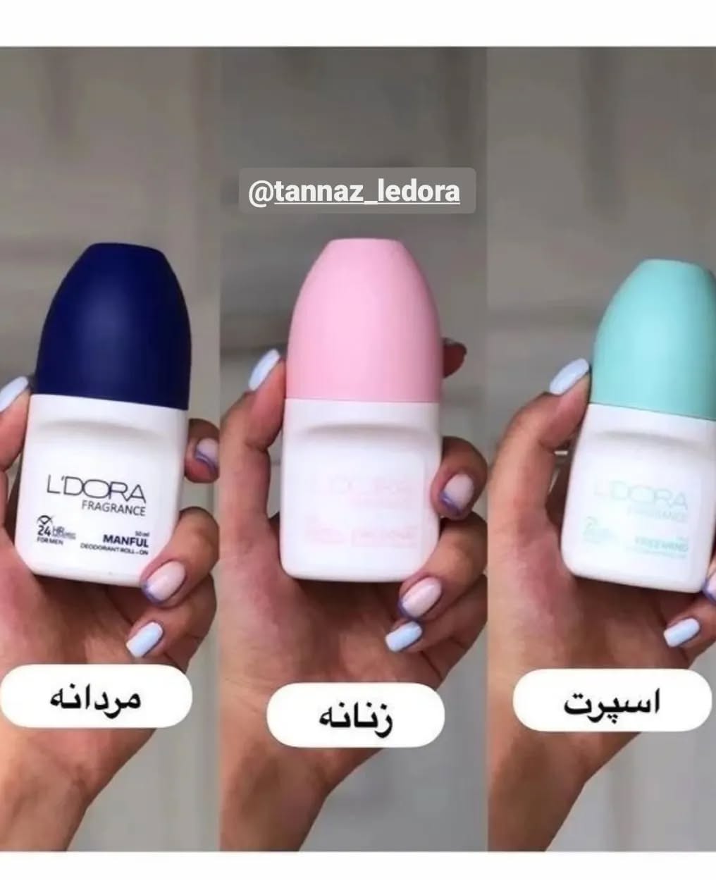 صادرات محصولات لدورا 