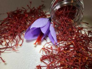 زعفران ایرانی نگین قائنات