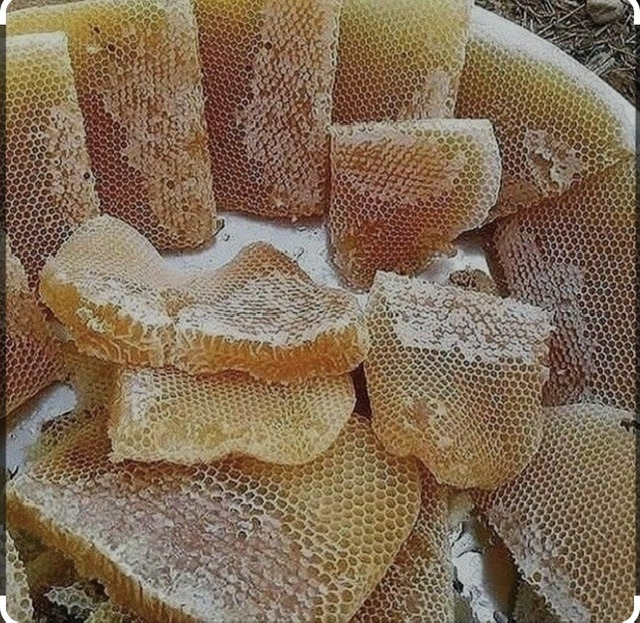 عسل طبيعي خوانسار (توكاياكا)