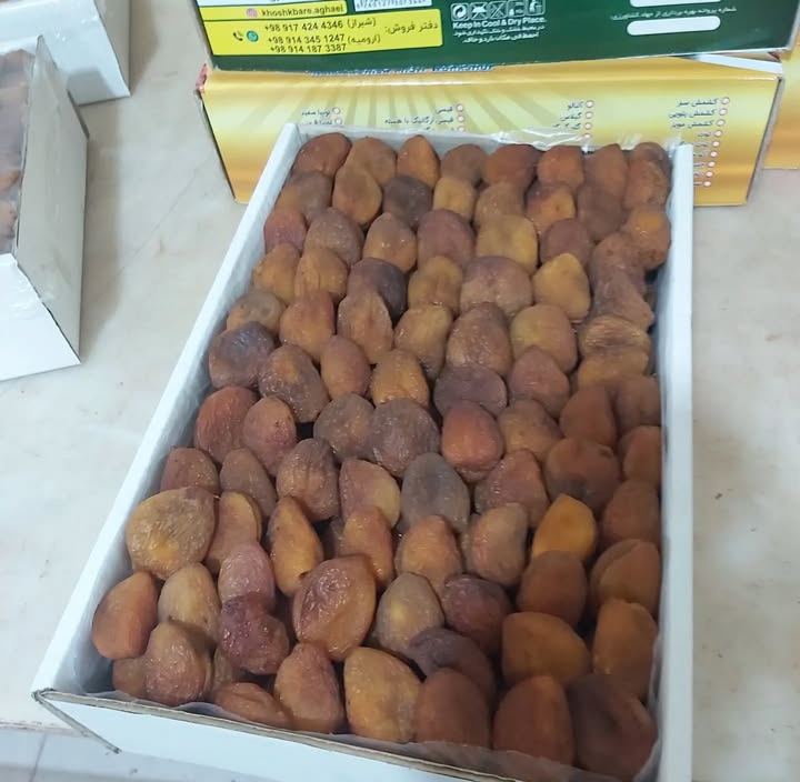 میوه خشک