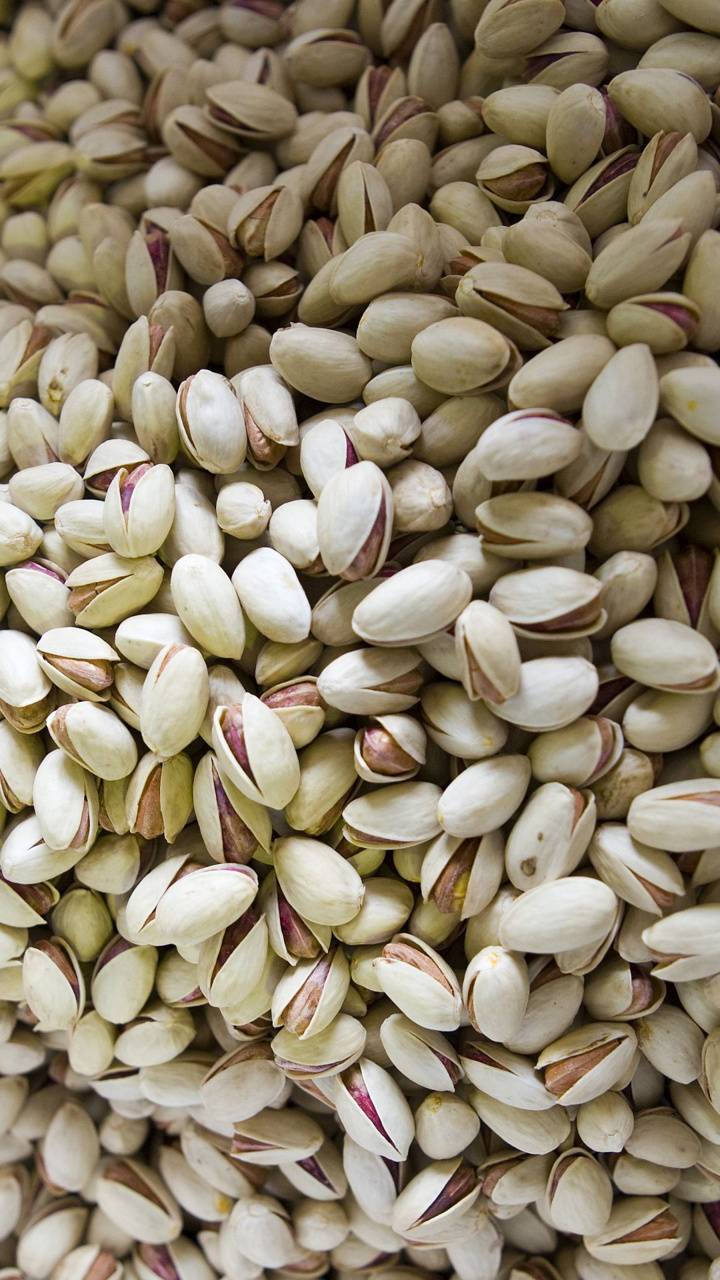 فروش پسته مغز با بهترین کیفیت