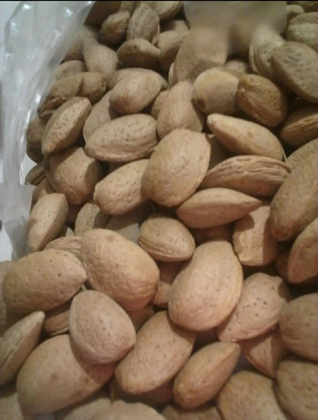 خشکبار و ترشیجات مرغوب 