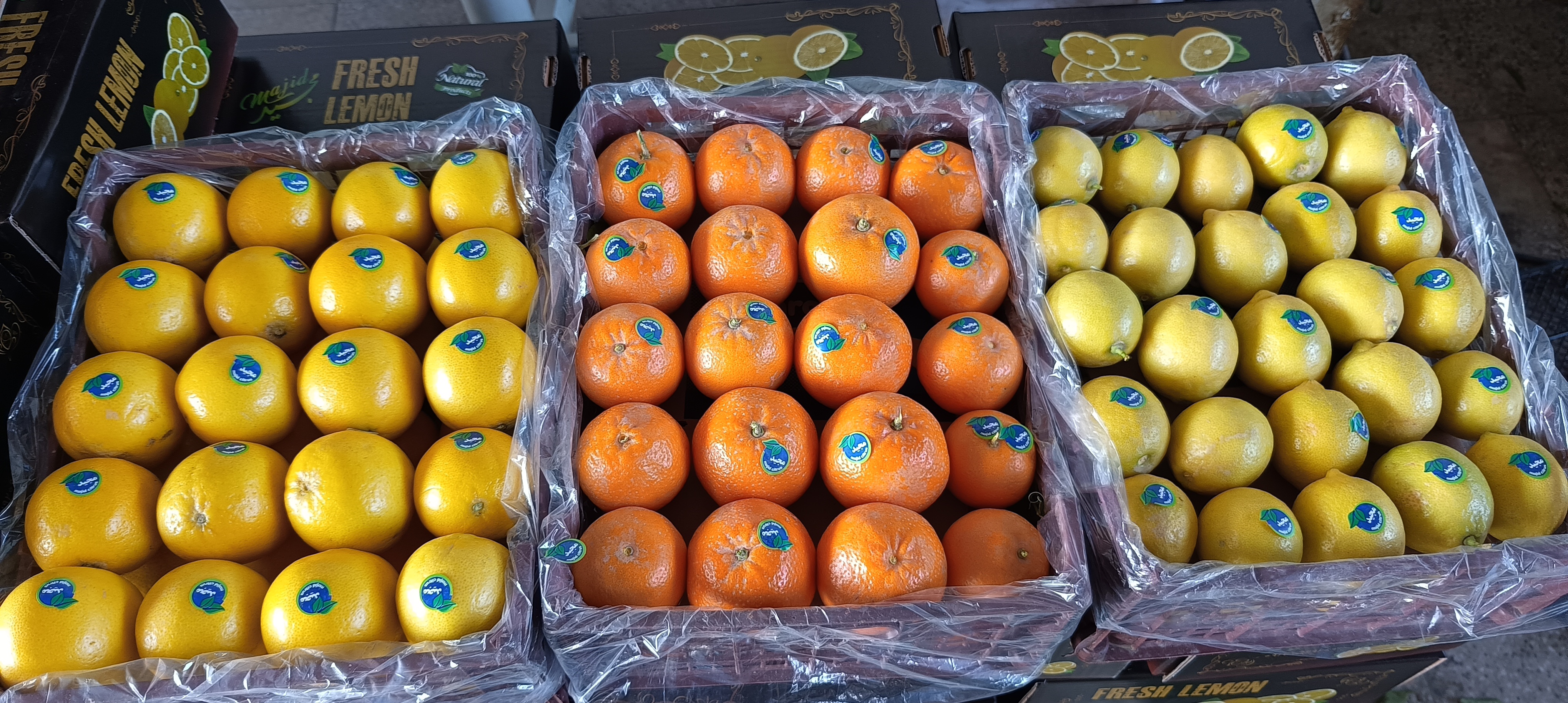 میوه و تره بار