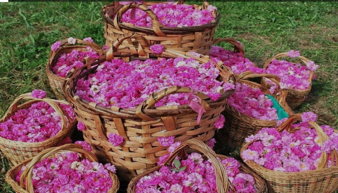 گلاب ناب کاشان