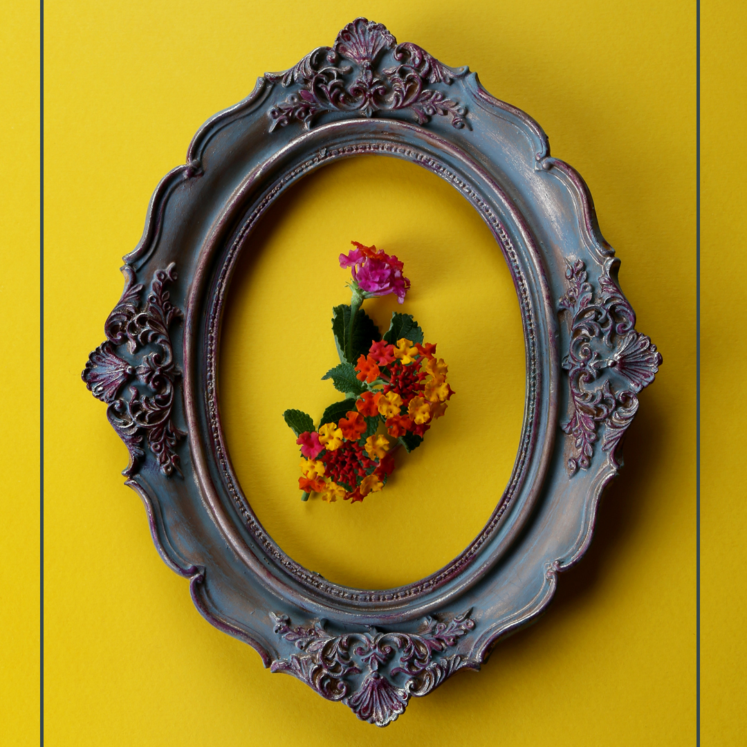 فروش انواع دکوری