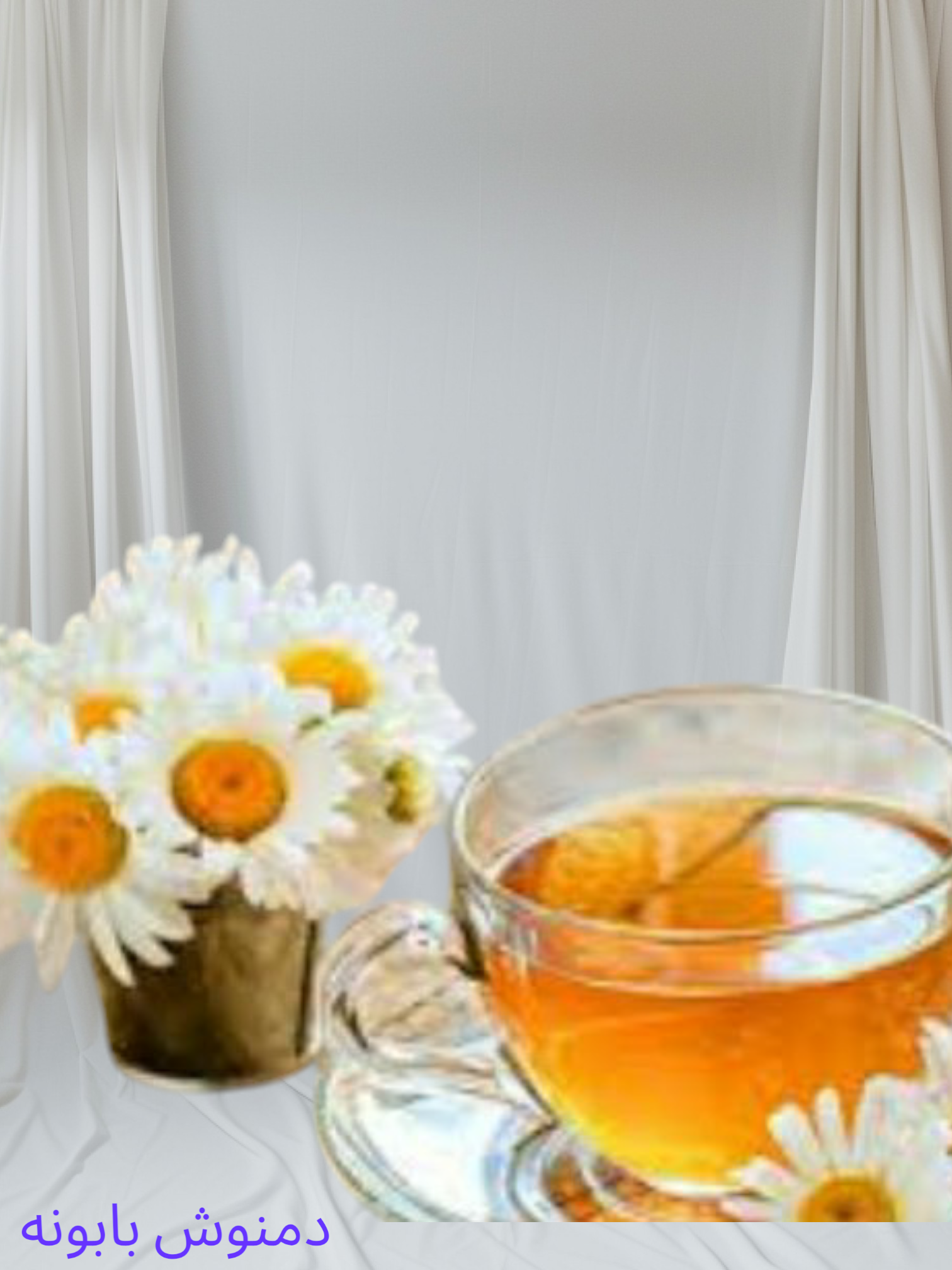 عسل ارگانیک و گیاهان دارویی