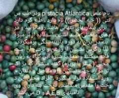 مواد غذایی خشکبار 