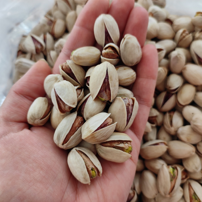 پسته ـ فستق ـ Pistachio