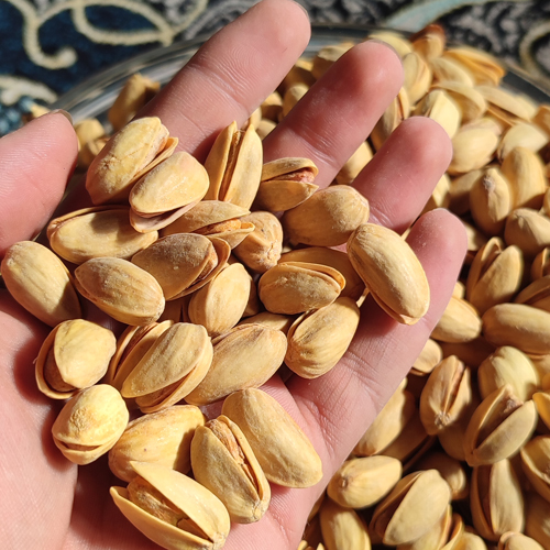 پسته ارگانیک 