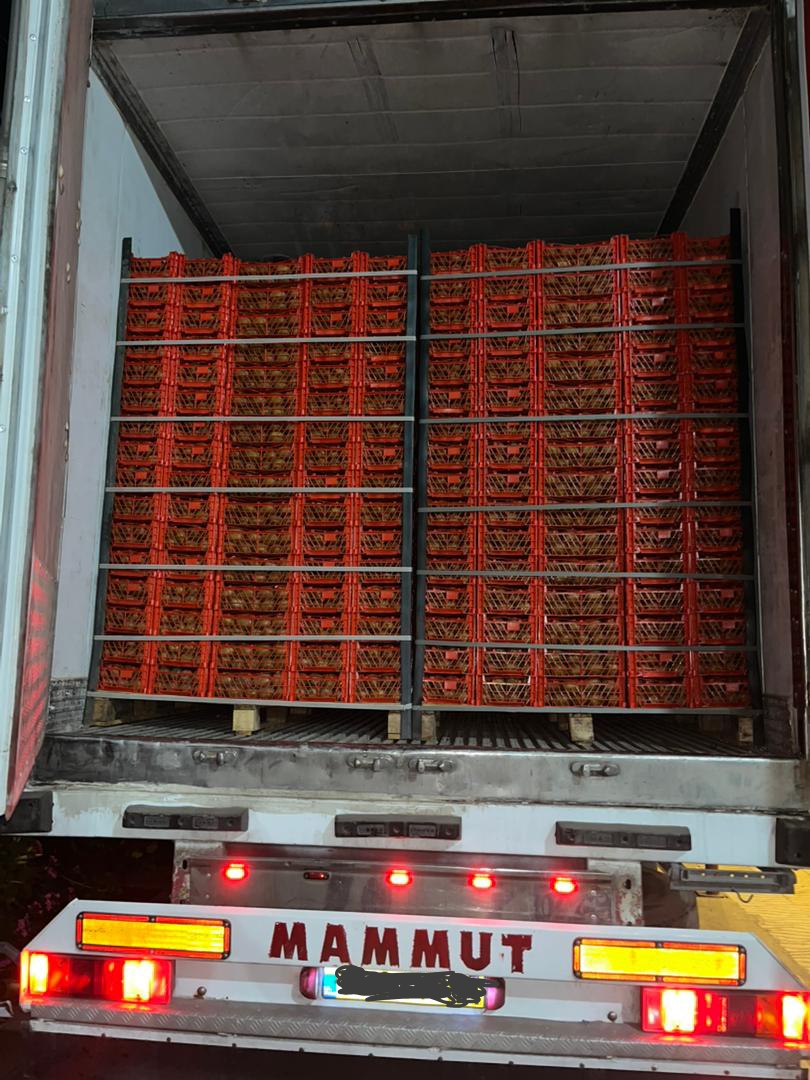 فروش میوه کیوی بصورت عمده