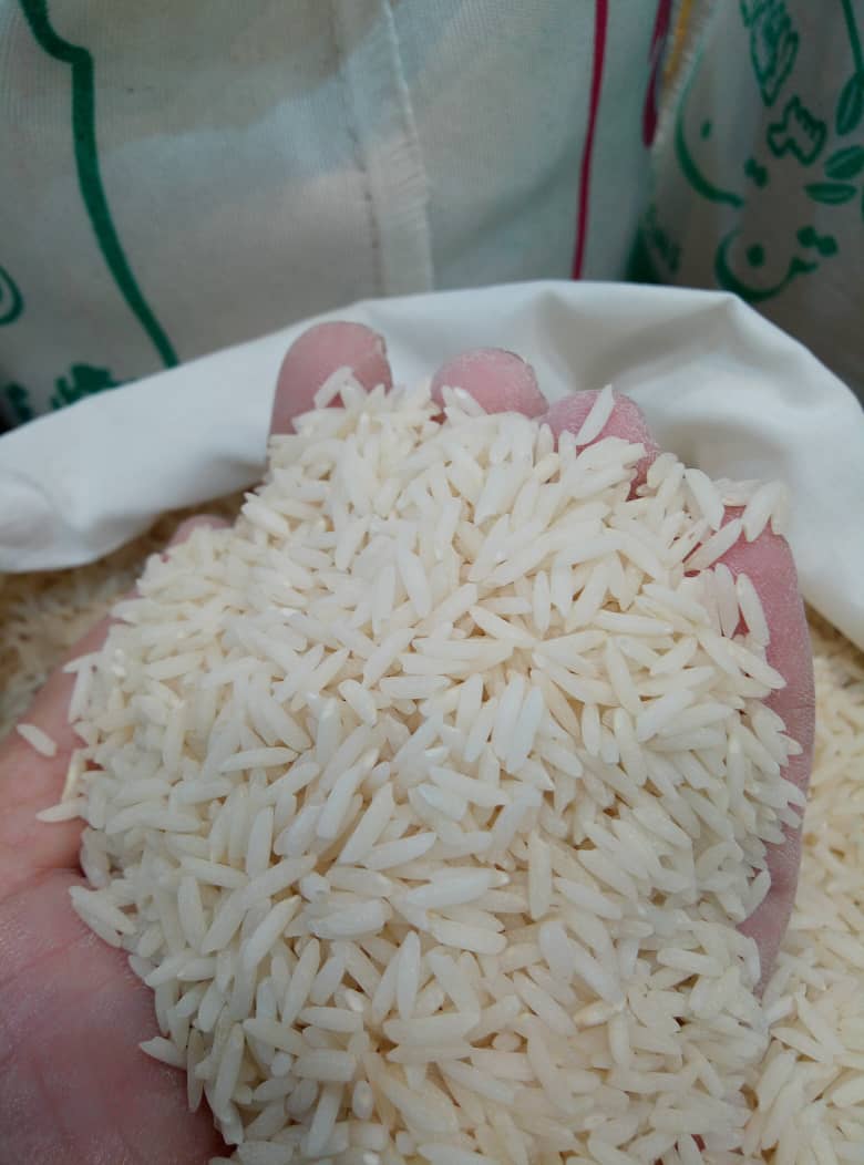 برنج هاشمی