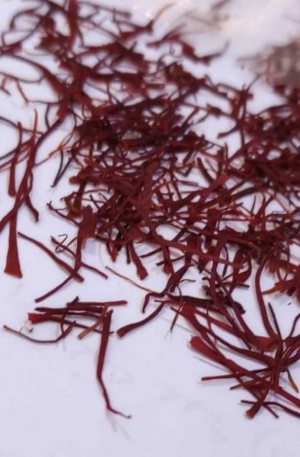 زعفران درجه یک قائنات