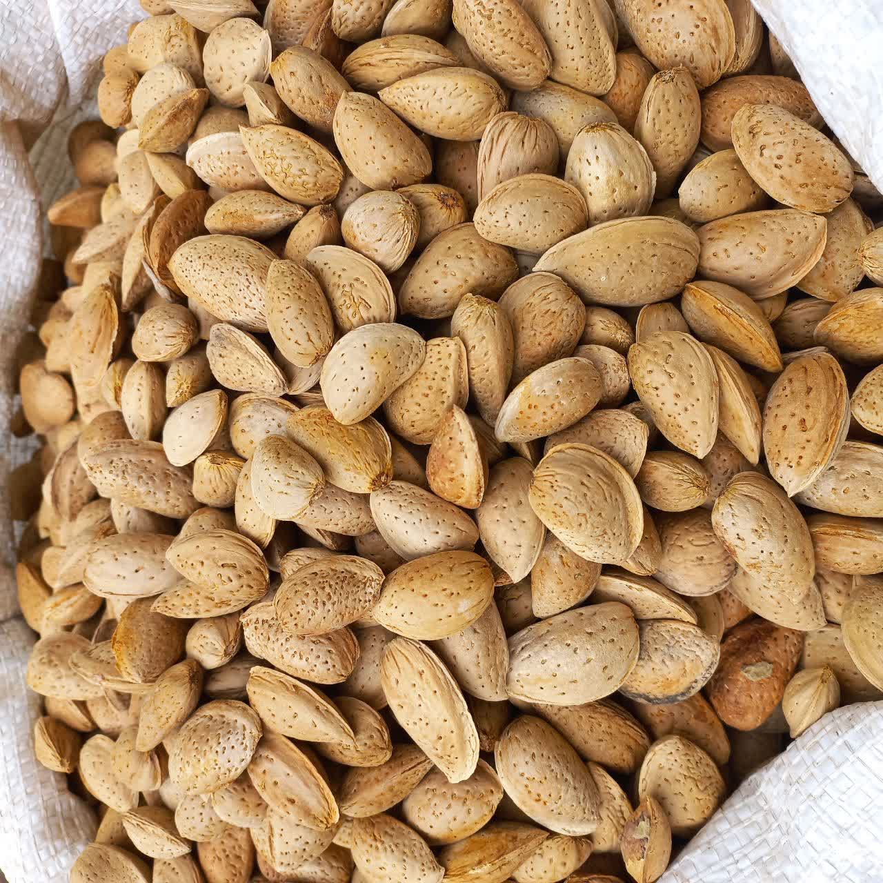 فروش انجیر وبادام وپسته