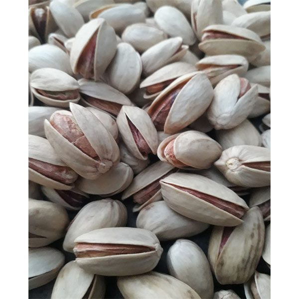 پسته ممتاز ایرانی 