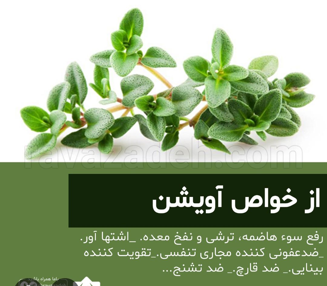 فروش عسل محلی و گیاهان دارویی 