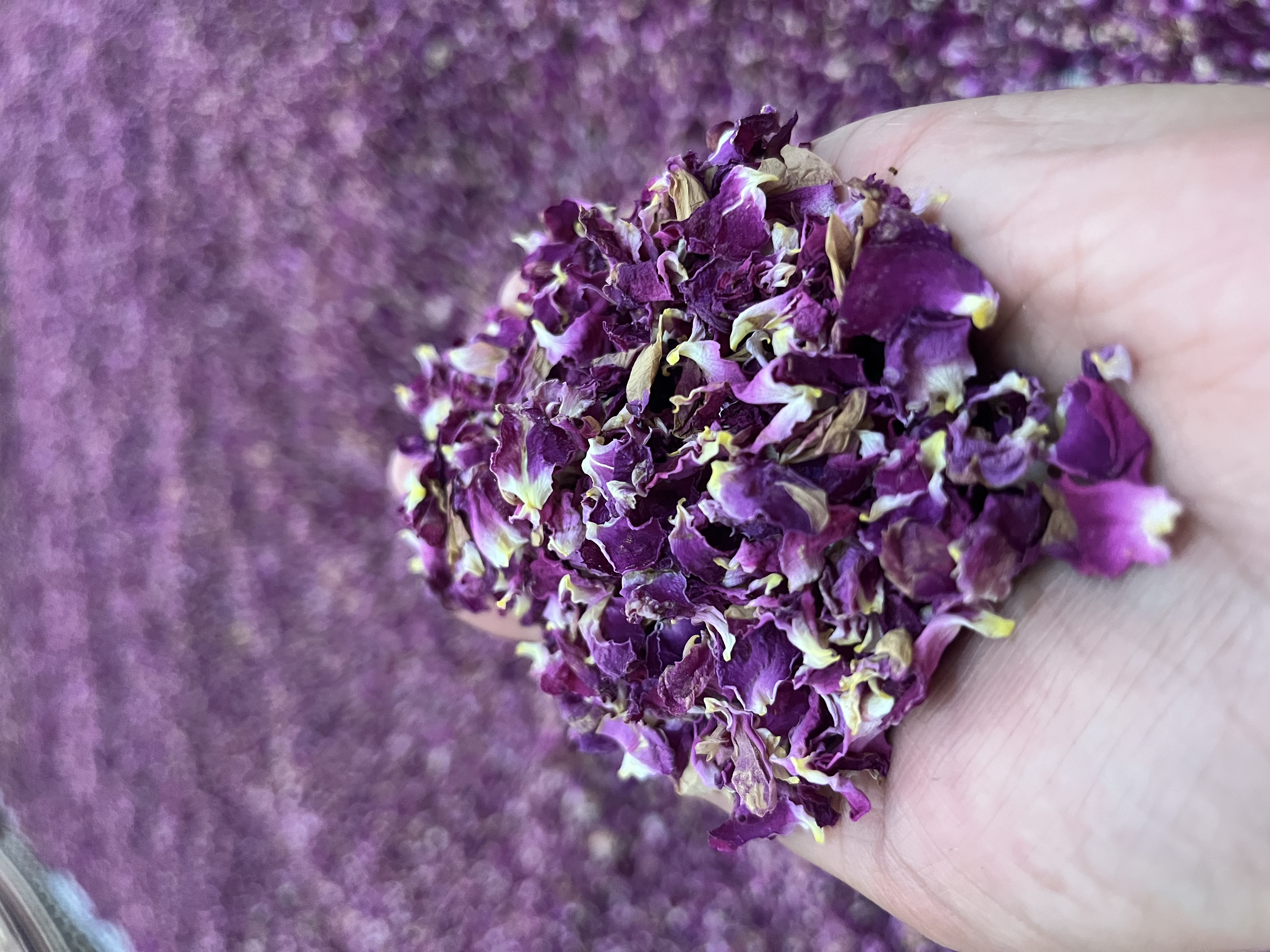 گل محمدی خشک مرغوب