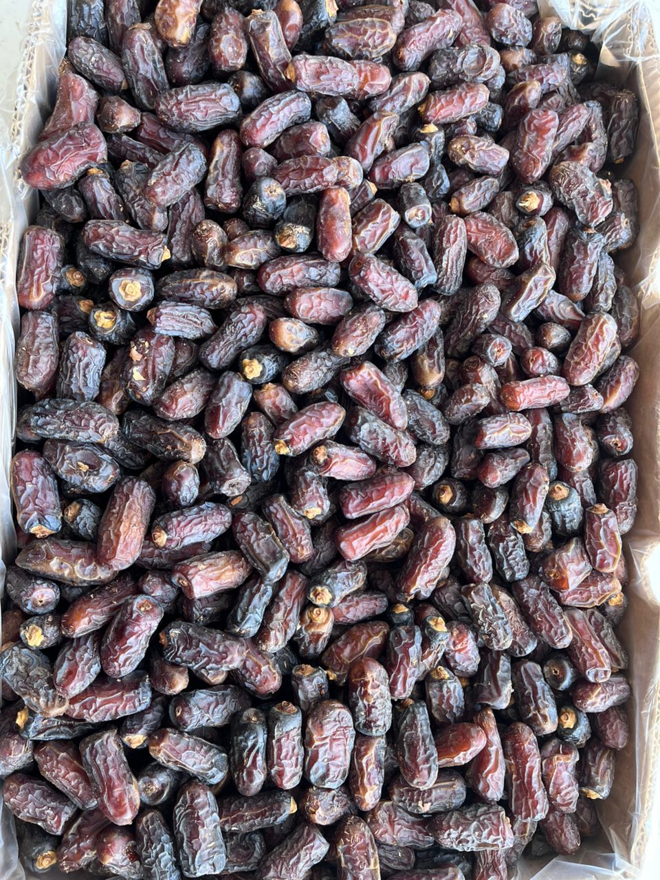 بهترین خرما پیارم