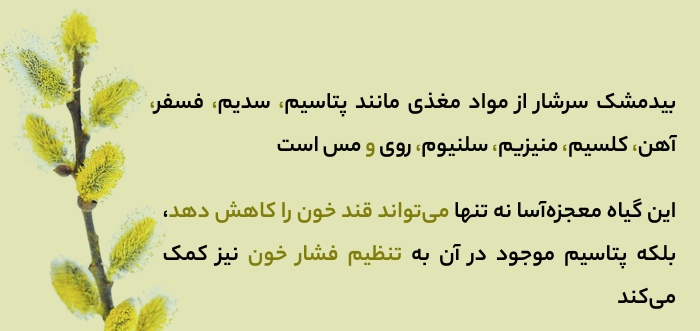 فروش عرقیجات طبیعی از دل کاشان