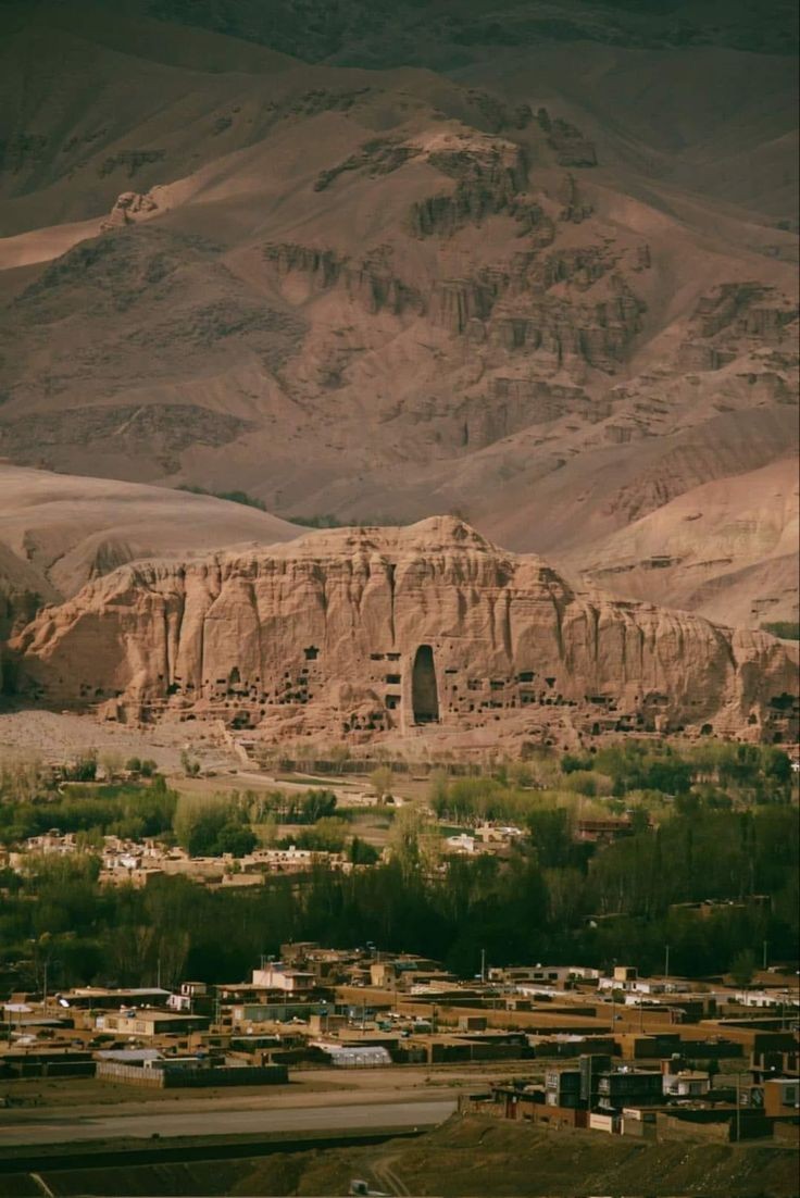 همراهی توریست
