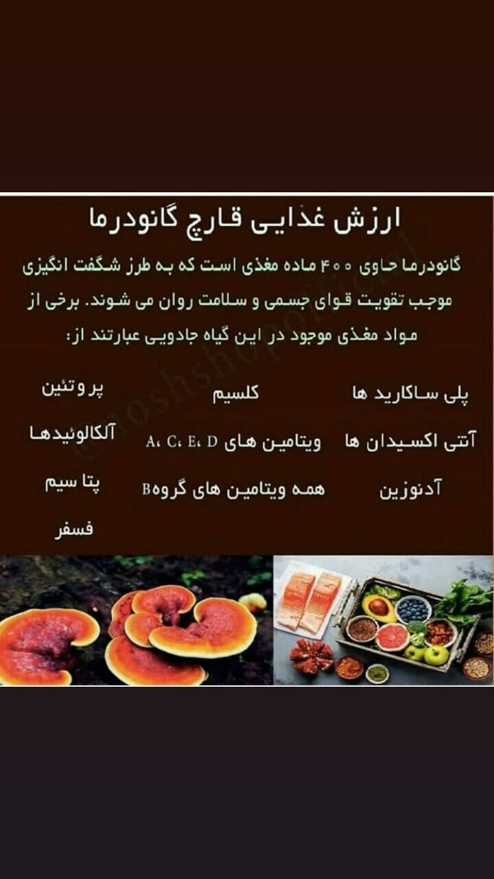 قهوه های گانودرما ضامن سلامتی شما