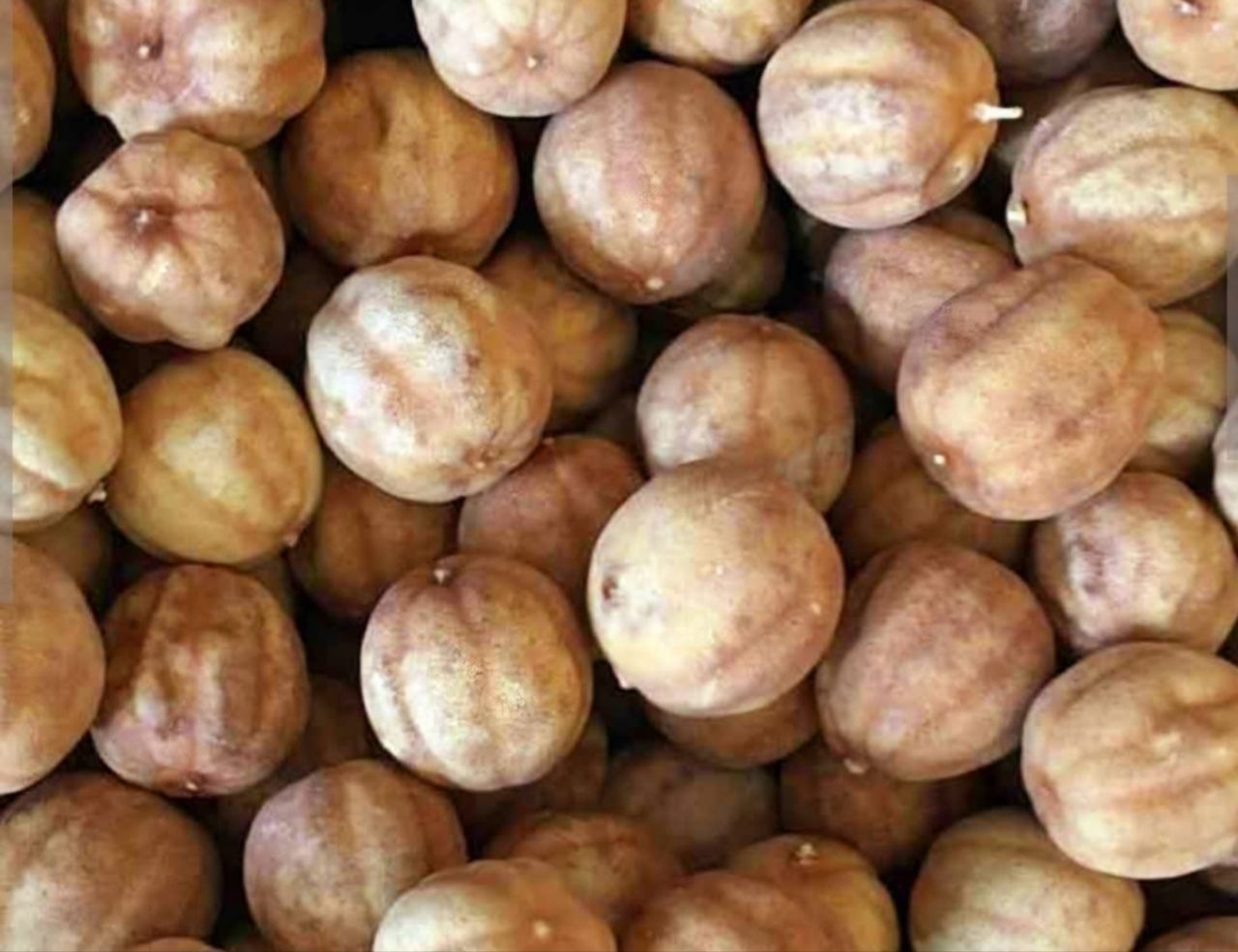 فروش مواد غذایی 