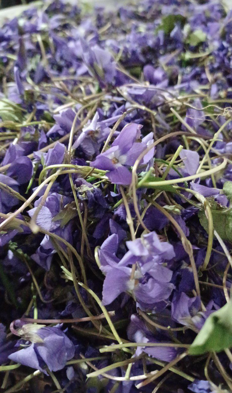 دارو های گیاهی