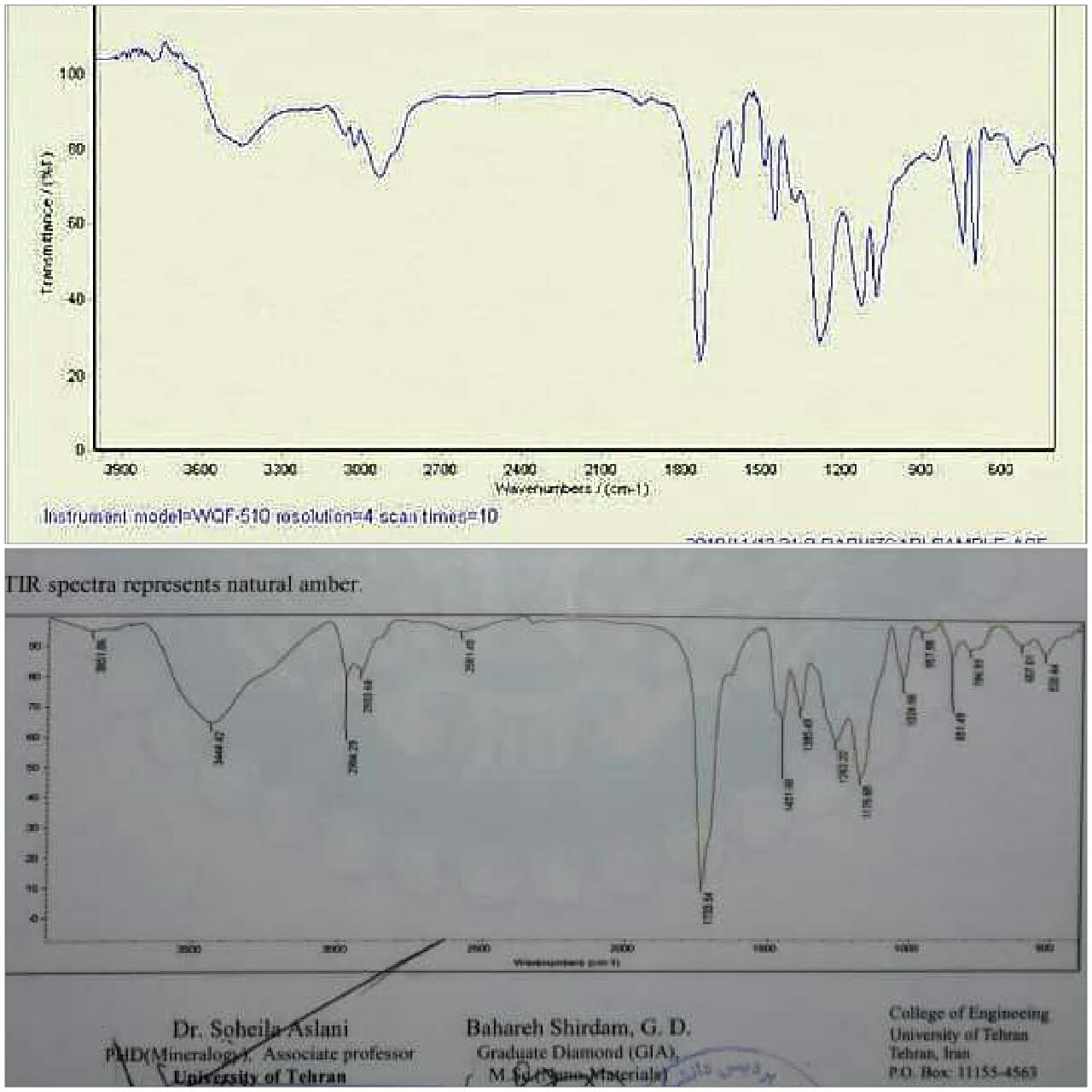 کهربای مهماندار