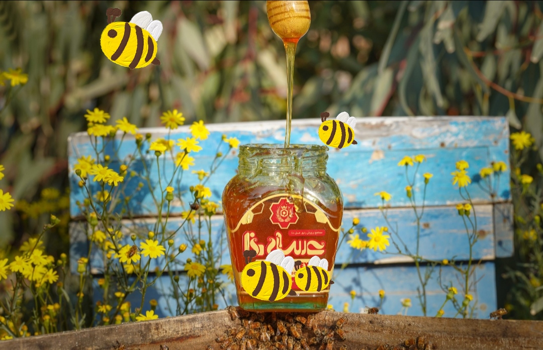 نماینده و کارشناس فروش محصولات دنا 