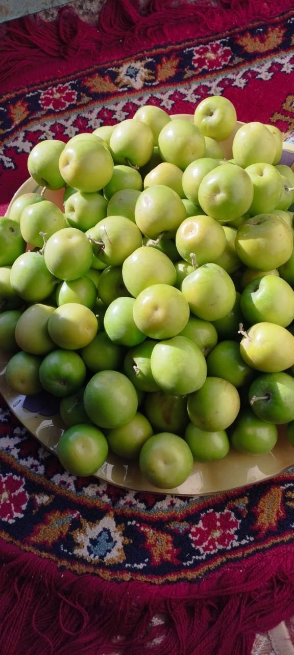 کنار هندی سیبی 